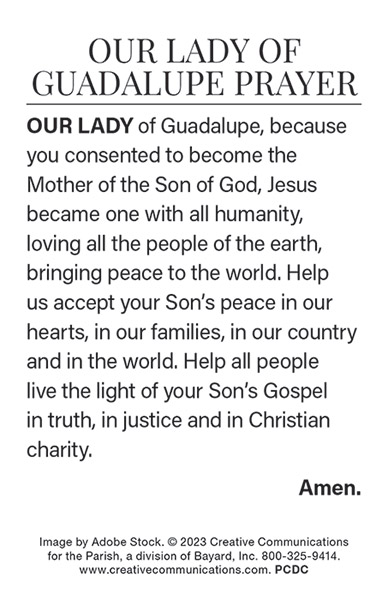 Our Lady Of Guadelupe Prayer Card - Jpg file