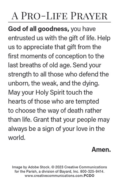 Pro Life Prayer Prayer Card - Jpg file