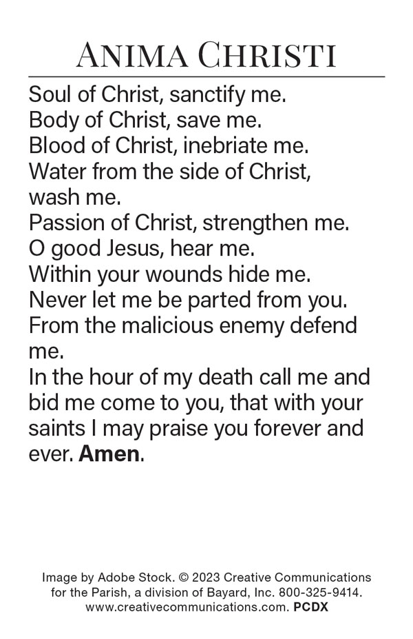 Panima Christi Prayer Card - Jpg file